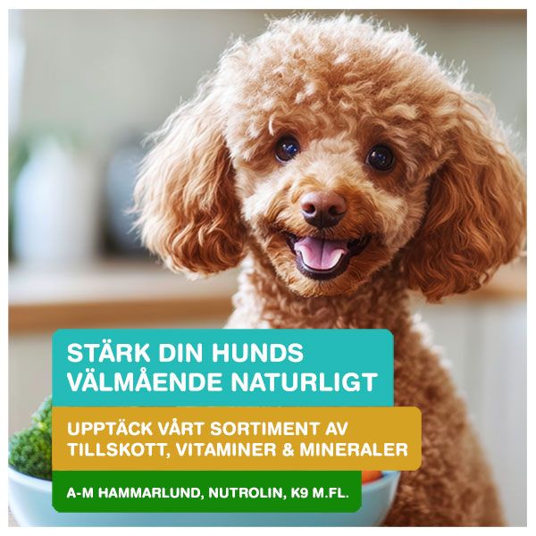 Kosttillskott, vitaminer och oljor